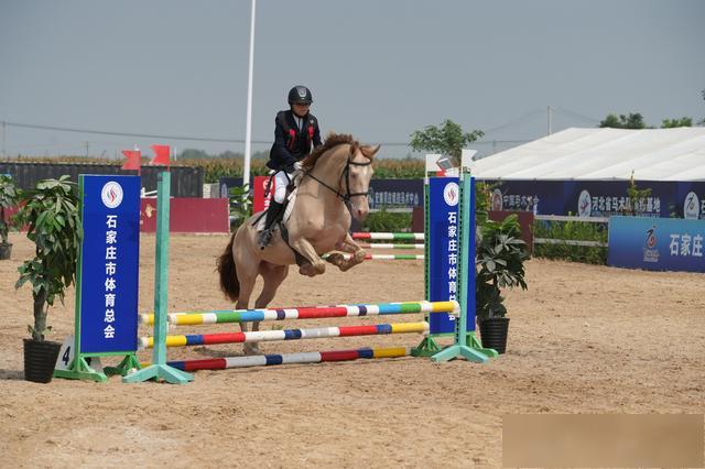 img, 河北省近年 img, 河北省近年