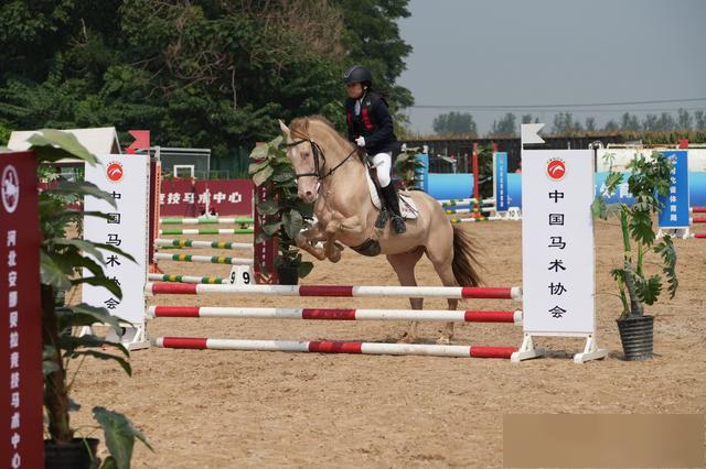 yid, 河北石家庄, 石家庄市体 yid, 河北石家庄, 石家庄市体